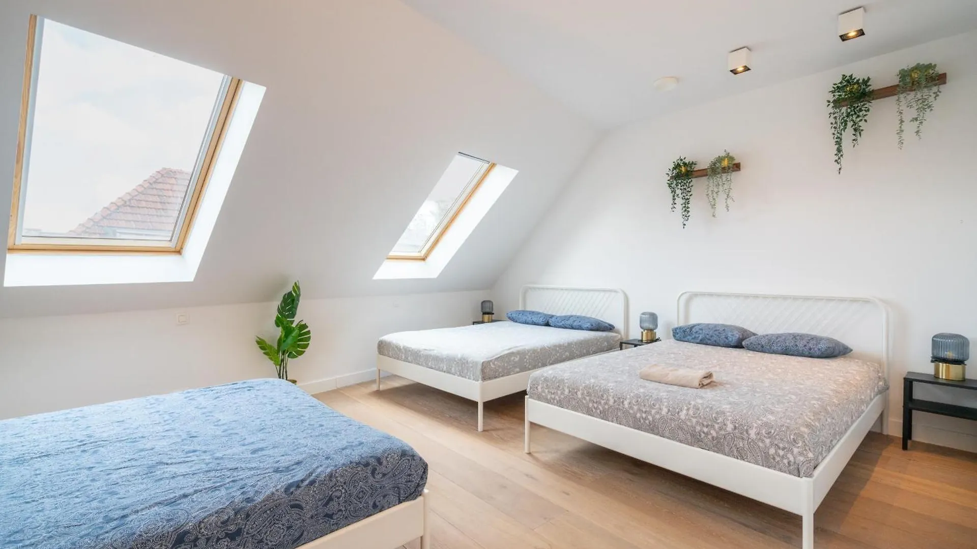 Light House Lodge. Apartment In Center Of Antwerp