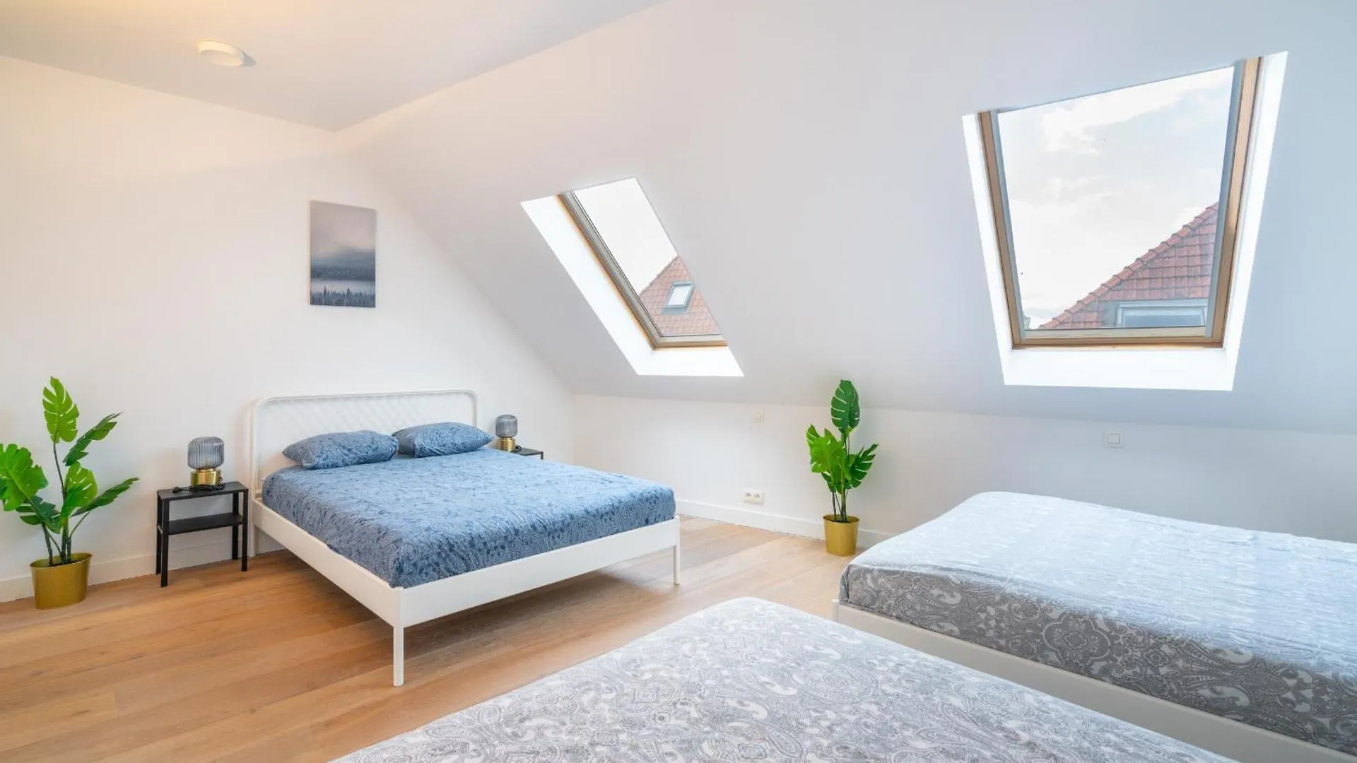 Light House Lodge. Apartment In Center Of Antwerp